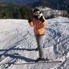 shelly_hahn
